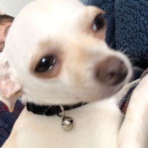 Meet your Posher, Mathew